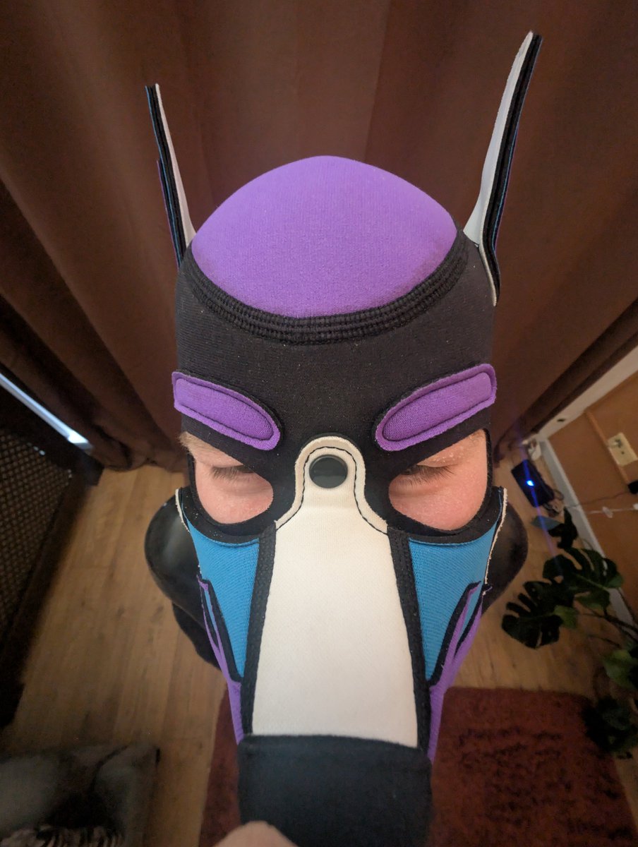 TokaLynx's tweet photo. Rubber puppy mode.

Suit: @Smitizen
📷: @RUBBERPUPNIADH
#silicone #newpfp https://t.co/iDmd4aWI27