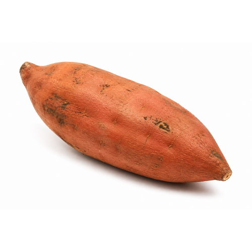 AivaiDev's tweet photo. THIS IS THE NEXT SOL THE TOMATO, SHE IS GOING VIRAL FOR GROWING POTATOES WITH CLAUDE... 

last time this happened was Sol the Tomato and we sent it to over 30M mc so this is huge, this is the first sweet potato taken care of claude https://t.co/sKwkMIWBWD https://t.co/KWo0j5DeGF