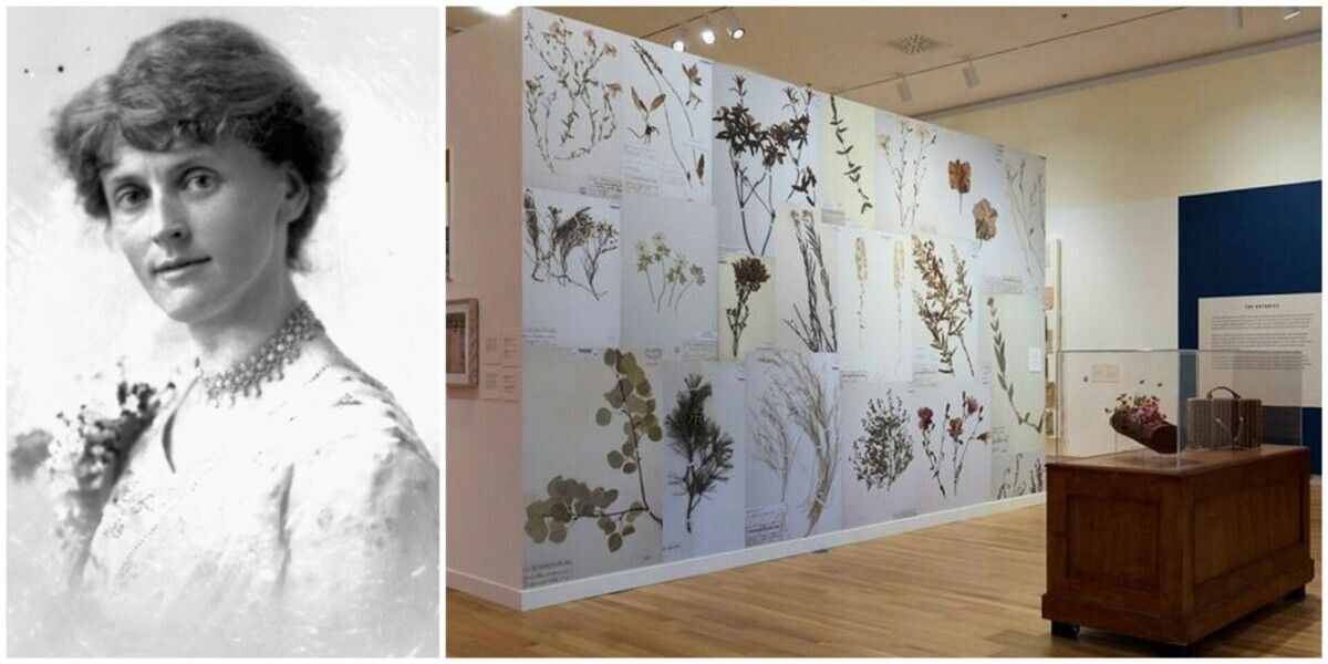 TheHillTimes's tweet photo. Heard on the Hill | With Fyles from Faith: OAG exhibit explores history of gender divide in public service

https://t.co/U6tTWzKyvW https://t.co/SRm5fu59UW