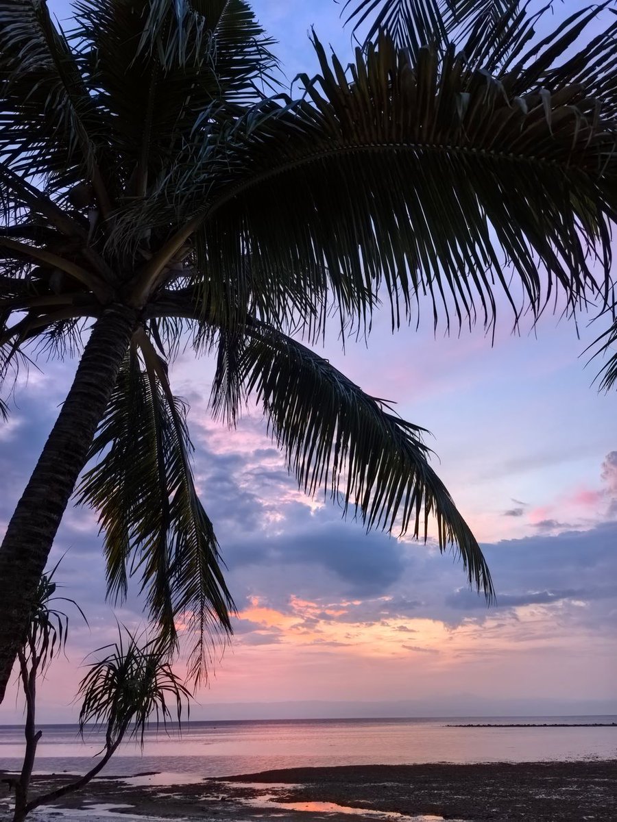 CocoBeachVibe's tweet photo. https://t.co/OVNlYDfwIM