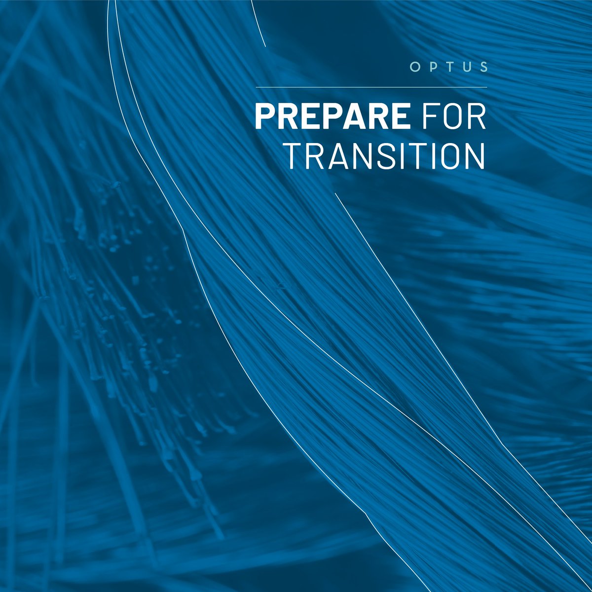 optusinc's tweet photo. Copper networks are disappearing. Is your business ready for the transition? Learn how next-generation connectivity solutions can keep you ahead.

https://t.co/9Jr8HqjdCO https://t.co/M5H52u8460