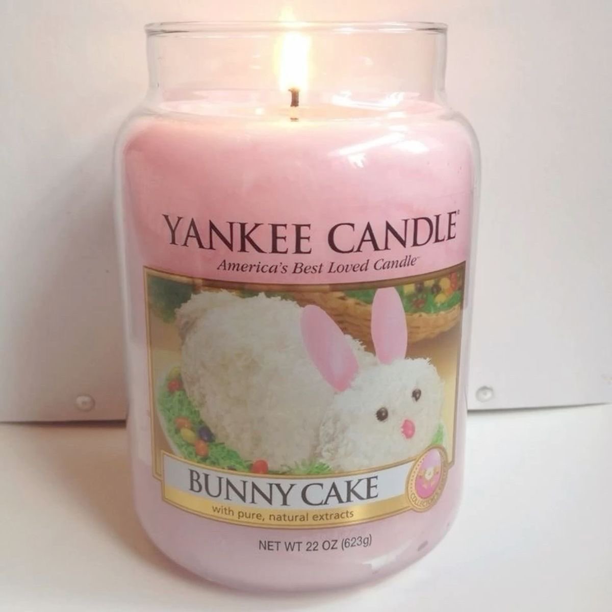 lapafaits's tweet photo. literally me as a candle omg #bunnycake 🐰🍰 https://t.co/xn05OBBE4r