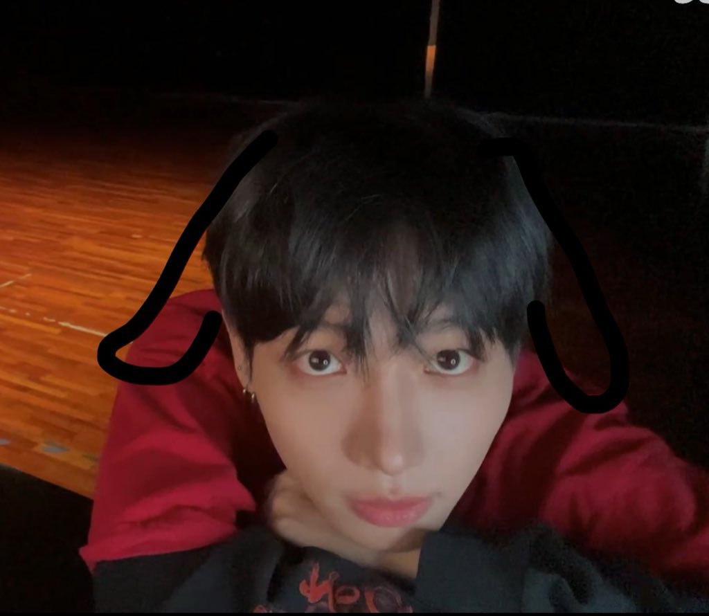 ccoli_door's tweet photo. 아니 국제 강아지의 날이라서 와준거라고? 진짜 우리집 강쥐가 이렇게 착둥이야 하 https://t.co/PWzLkkAK1g