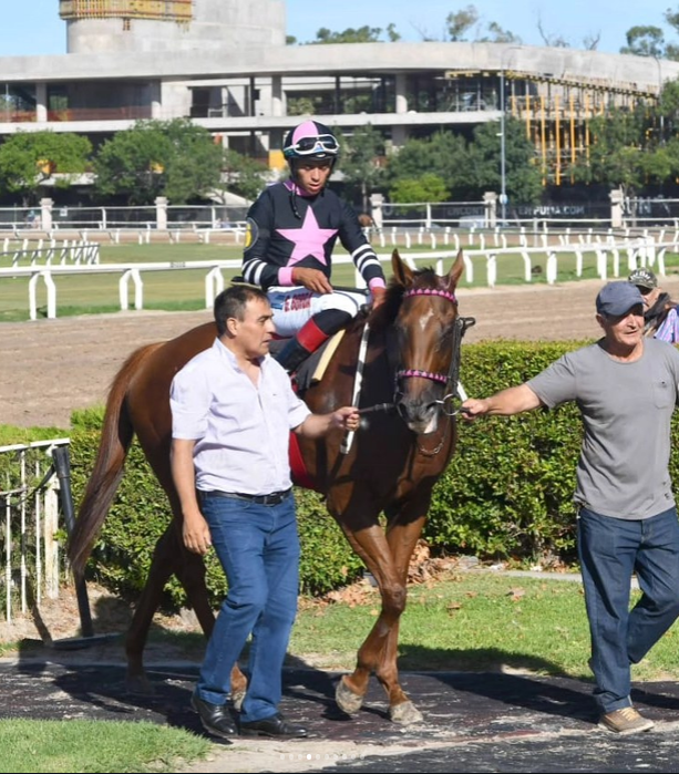 tahralanK's tweet photo. alright so here's the full thing, I still have to change some stuff maybe, but i'd like to hear what you think lol + some photos of the irl mare! she has 3 stars in her design to symbolize her 3 G1 wins, she ran 23 races, won 11 of them and 9 of those were consecutive! https://t.co/Xukaat01hr