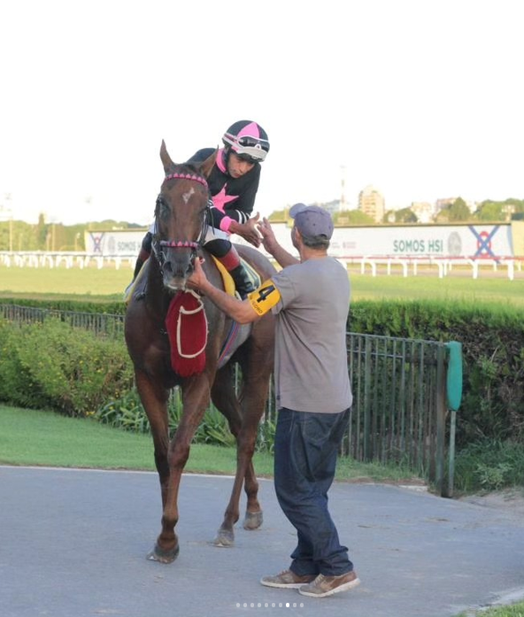 tahralanK's tweet photo. alright so here's the full thing, I still have to change some stuff maybe, but i'd like to hear what you think lol + some photos of the irl mare! she has 3 stars in her design to symbolize her 3 G1 wins, she ran 23 races, won 11 of them and 9 of those were consecutive! https://t.co/Xukaat01hr