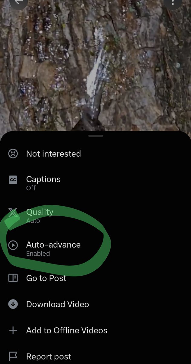710YI2's tweet photo. I was about to delete this app again but i forgot I could do this! Wow auto play and auto advance are truely evil features esp. when controlled by right wing pigs like elon https://t.co/4rBWBl0Fbu