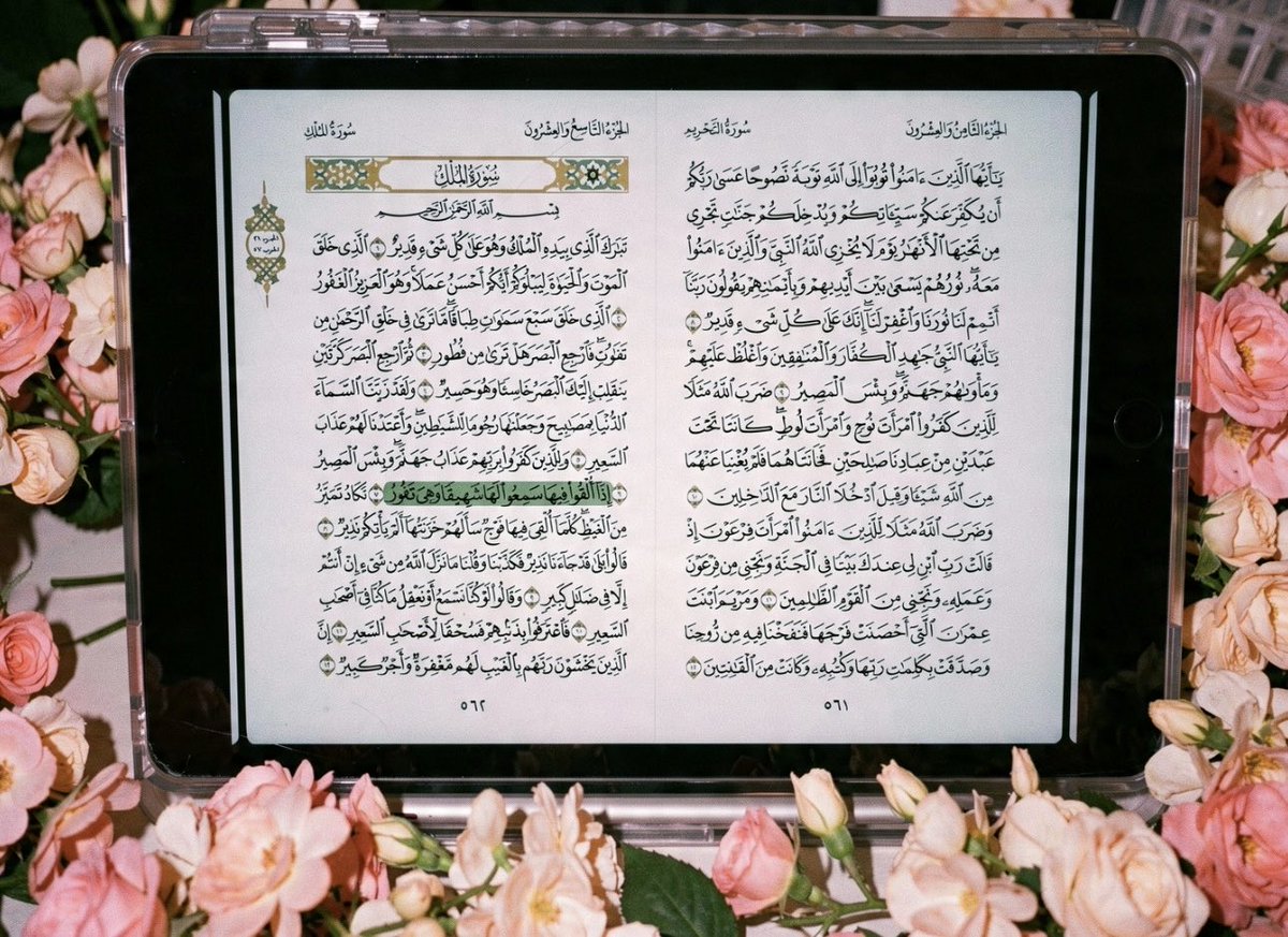 quranvy2's tweet photo. الآية رقم 7 من سورة الملك (إِذَا أُلْقُوا فِيهَا سَمِعُوا لَهَا شَهِيقًا وَهِيَ تَفُورُ) دائمًا يتبادر لذهني كل ماقريتها أجواء رمضان وصوت الزيت الحار مع كل "فوج" مقليات ينزل 
اسأل الله أن يصرف عنا عذاب جهنم إن عذابها كان غراماً، ويج��لنا من المقبولين الآمنين 🤲🏻 https://t.co/2KNghgcvCq