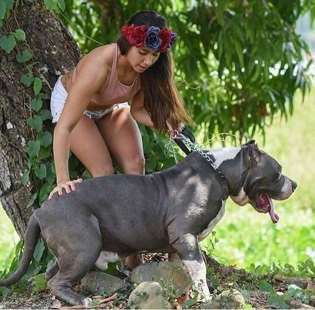 leeky21dashawz's tweet photo. Livestream is going on 🎬🐶🐾 Grab your tickets https://t.co/THKDXTU34g
#artofzoo #zootwt #dogbitch #zoophille #zoopositivity #zoopride #zoophillia #dogknot #beastymoms #beastiality #beastymoms #dogmoms  #dogfeeding #Austria #USA #Mexico #Wednesday #Germany #Bitcoin
3991780613 https://t.co/7bnu8cw9y2