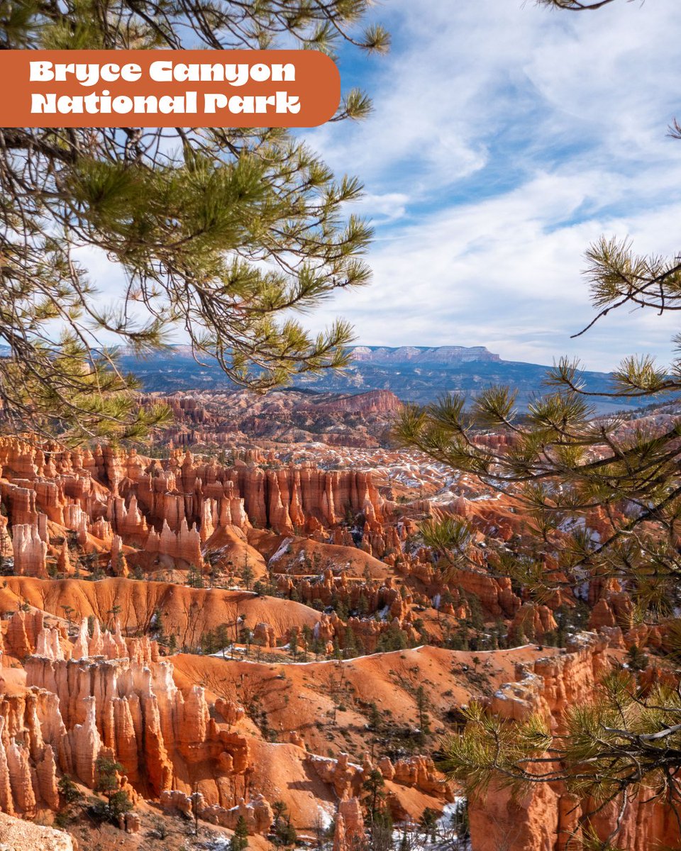 VisitCedarCity's tweet photo. 🌲 Happy National Park Week! 🌲

Experience these incredible national parks and monument near Cedar City, UT, including Cedar Breaks National Monument, Kolob Canyons, Zion National Park and Bryce Canyon National Park.

Where will you explore first? 👇
#nationalparkweek https://t.co/bPNDXjazCm