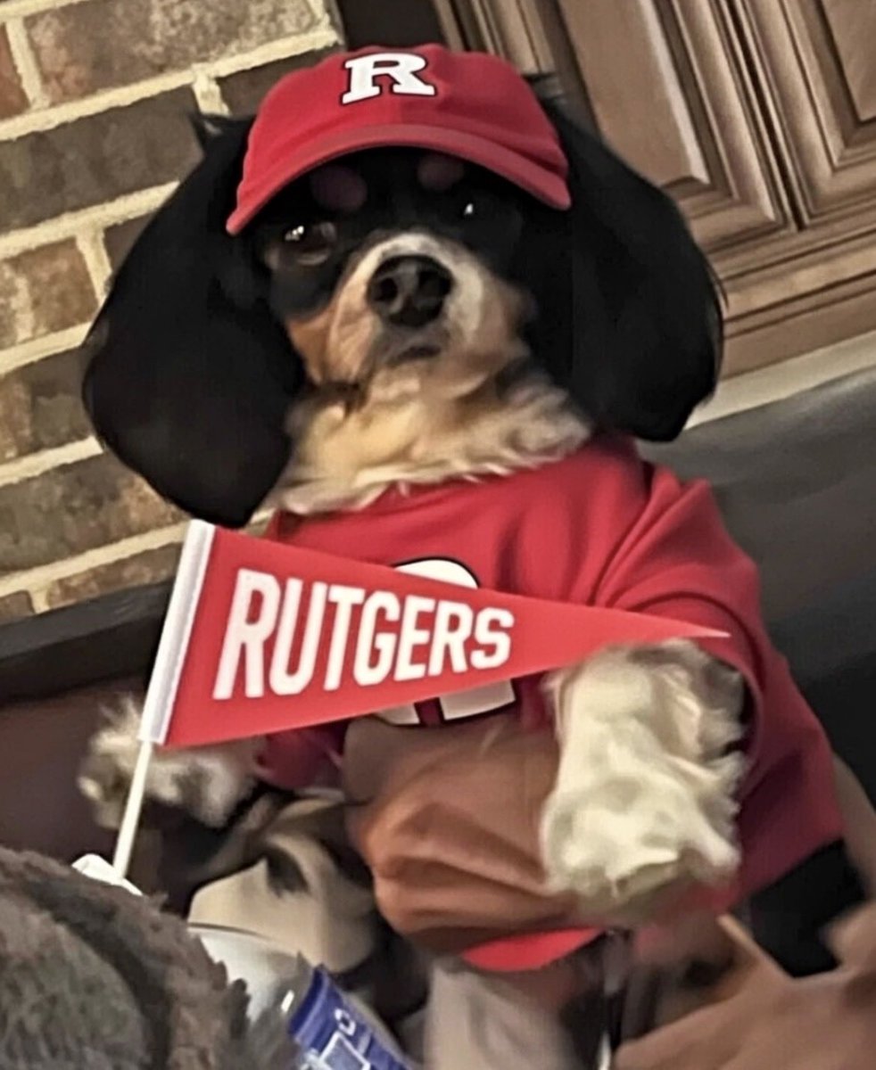 Sec_214's tweet photo. @RUAthletics @LilRogue_Angel My dog is always ready for Rutgers athletics. RU Ruff Ruff🐾 https://t.co/lpKsfcz44h