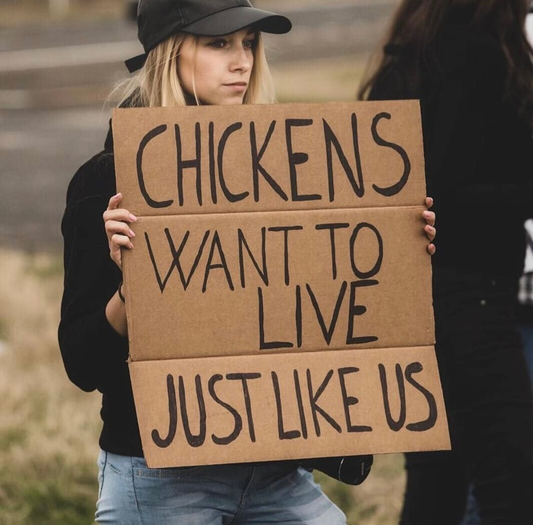 veganfuture's tweet photo. https://t.co/nPZ0wLmX5i