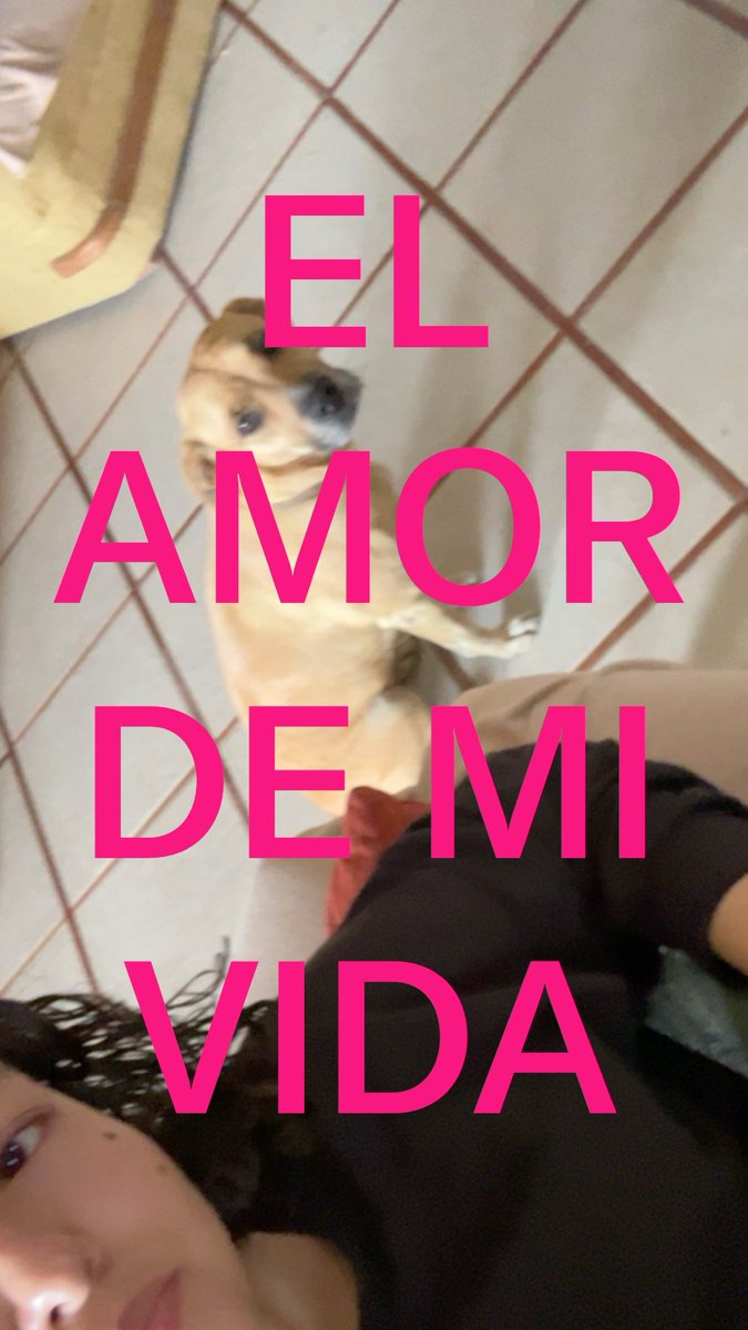 Isabel54756232's tweet photo. https://t.co/i3zYf98dOM