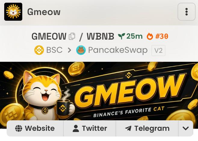 GMEOWBNB's tweet photo. Gmeow socials updated on @dexscreener 😼

https://t.co/ECRtTiVGPa https://t.co/vmhA2LWa7E
