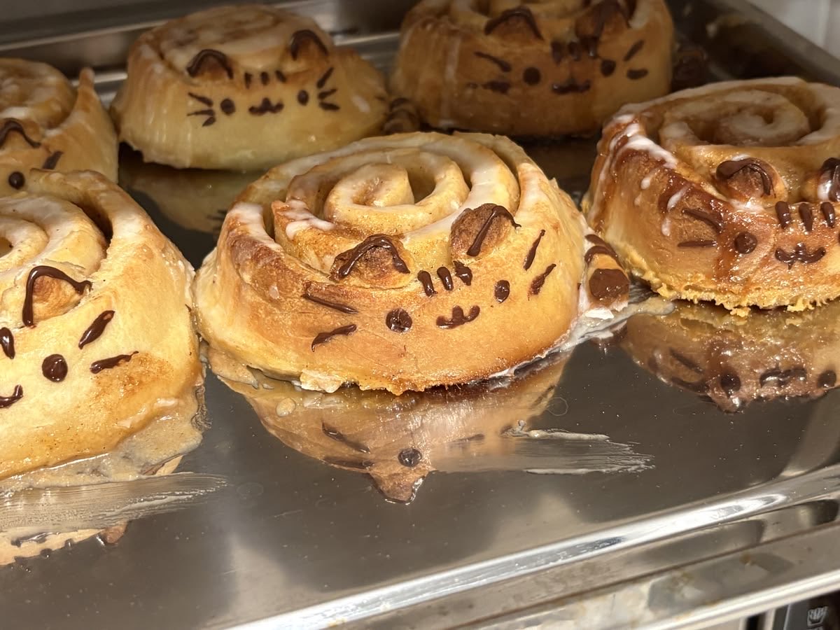 sweetxdessert's tweet photo. pusheen rolls https://t.co/XO0fDtJsMf
