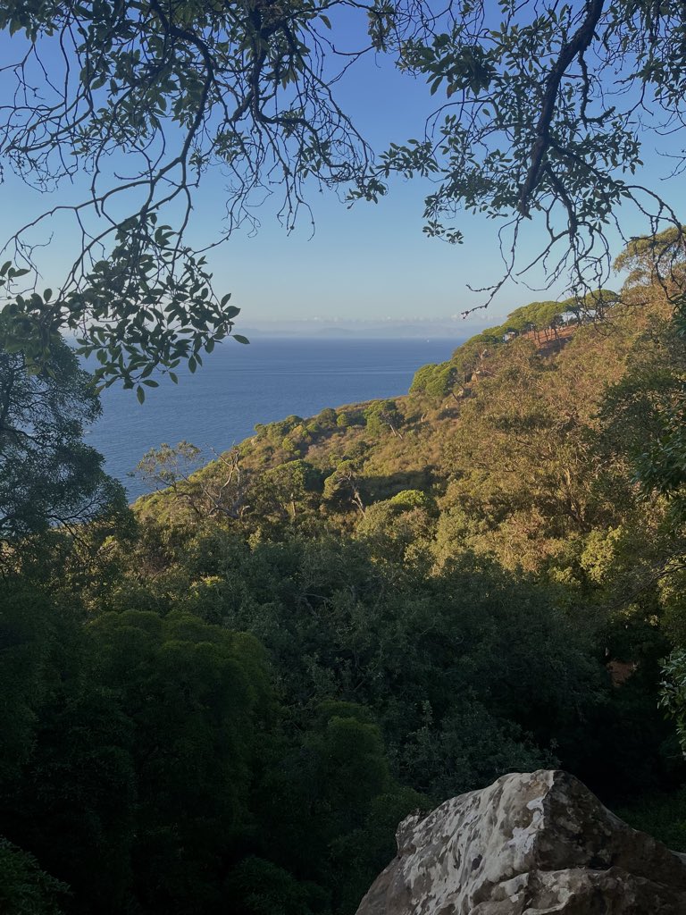 Chai6324's tweet photo. Getting out of my stinky discord mod life to reconnect with nature https://t.co/2kn4z7vtuY