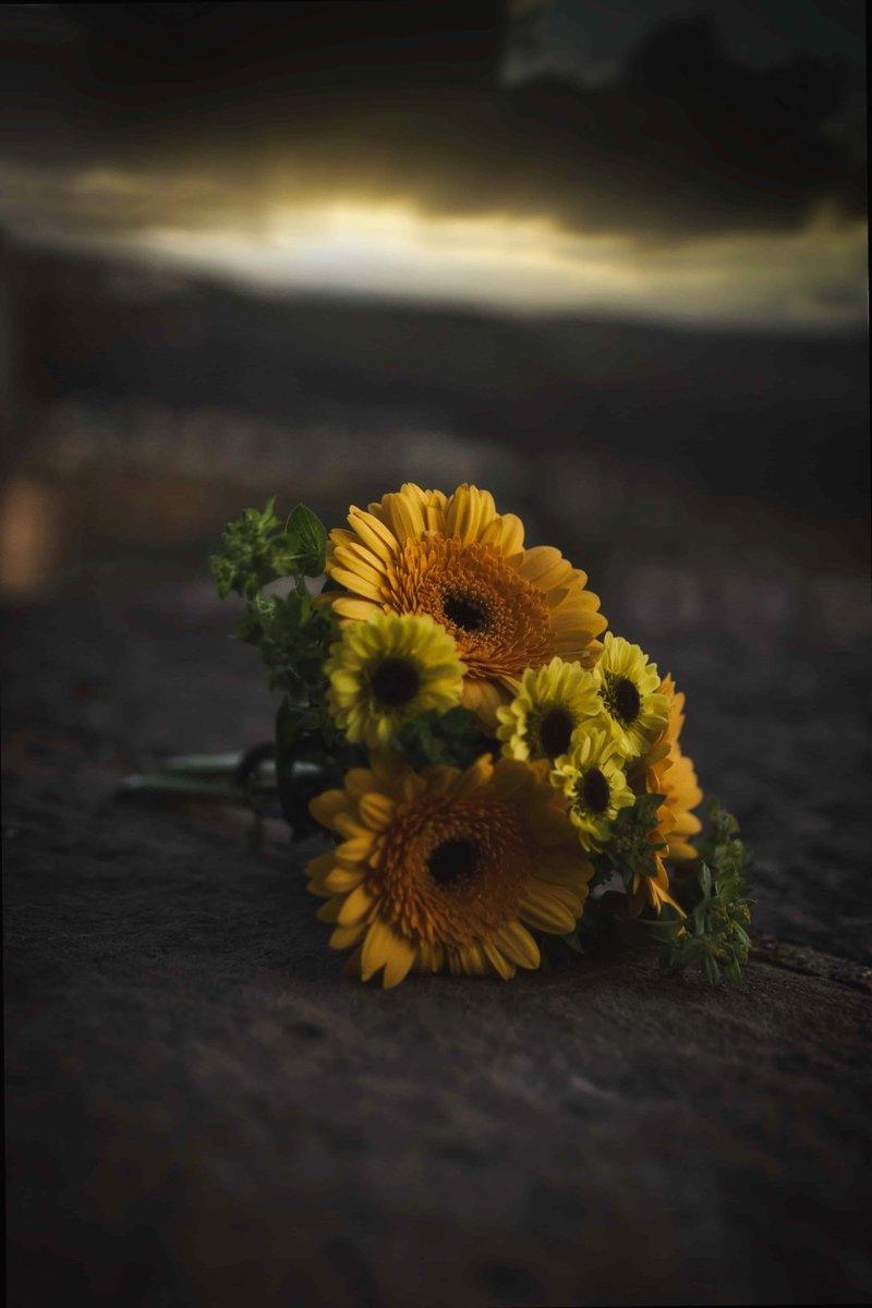 AprilD36575's tweet photo. Zoe Jacob Smiles Natalie Robert and laughs unforgettable vibes barb stines.44nbsk 🔥 🧳 🌻 https://t.co/trXARphuDb
