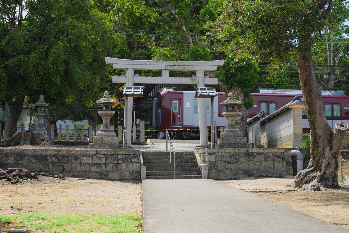 marumochi511's tweet photo. おはようございます＼(^o^)／
神社の敷地内に電車が走ってます🚃

ようやくギックリ腰もよくなり、今週末から撮影に出かけられそうです(^^♪
#キリトリセカイ
#Nikon #z8 https://t.co/9qPl4R9rff