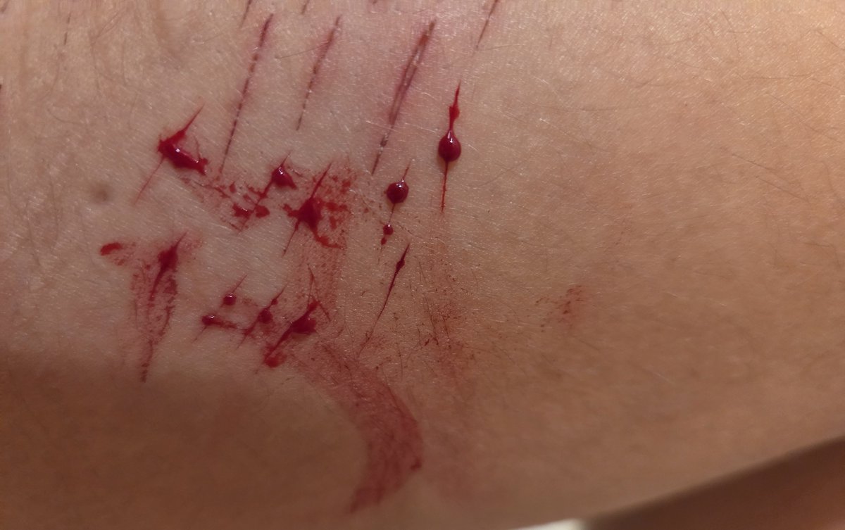 tspmofml's tweet photo. cat scratches for game 😊 https://t.co/zGt7OifJlA