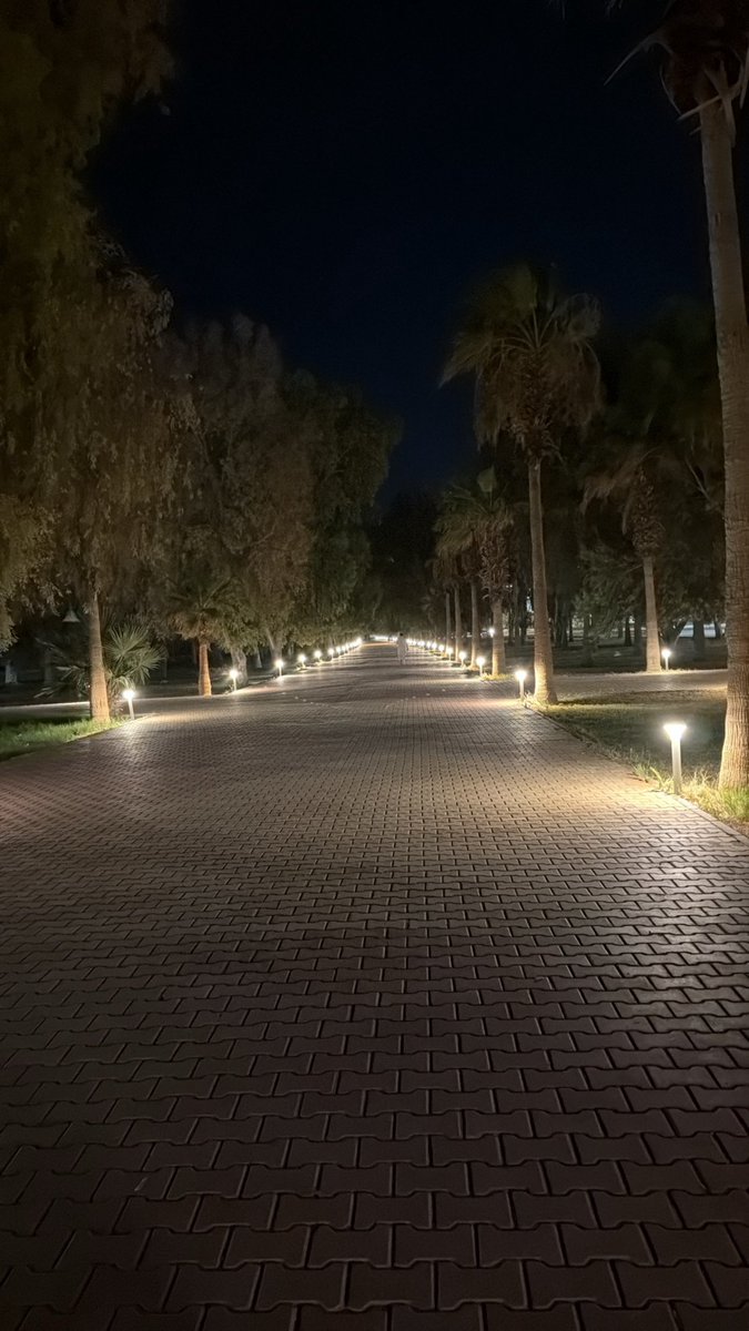 yysw_0's tweet photo. 👨🏻‍🦯 https://t.co/Kp6WiTy3Kt