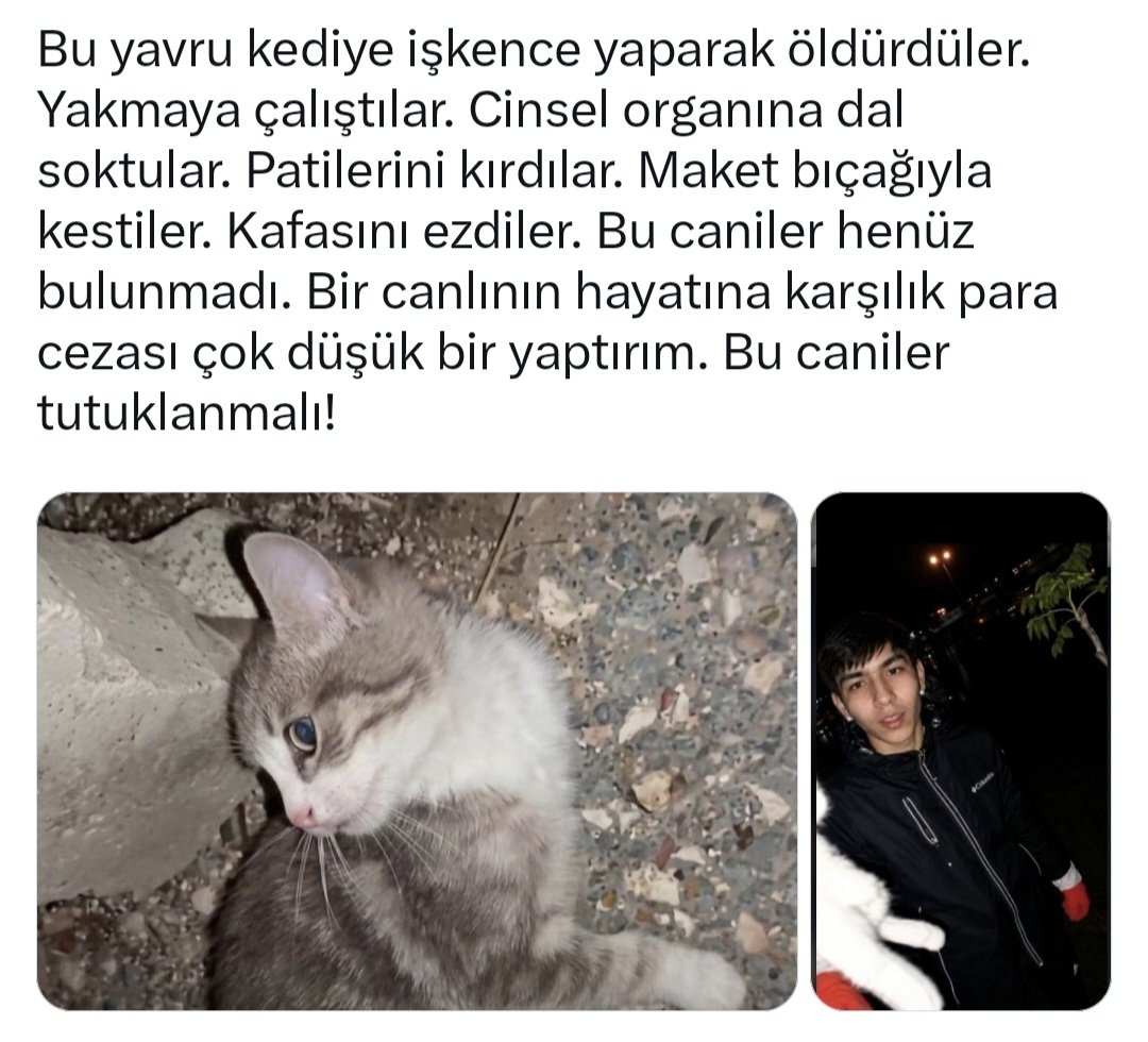 biyologcell's tweet photo. Sosyal medya propagandasıyla azmettiricisi ve faili yanyana. #SokakHayvanlarıSahipsizDeğil https://t.co/tY0dzcFxG5