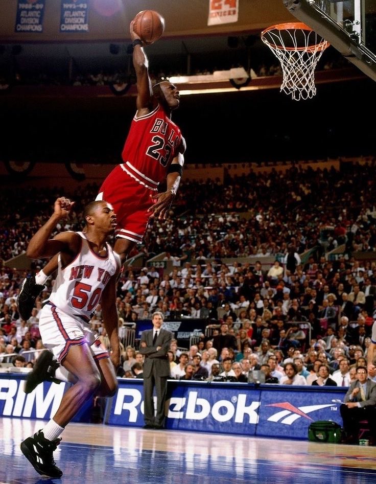 TodayInSportsCo's tweet photo. 🐐 https://t.co/Tbjnftw7tz