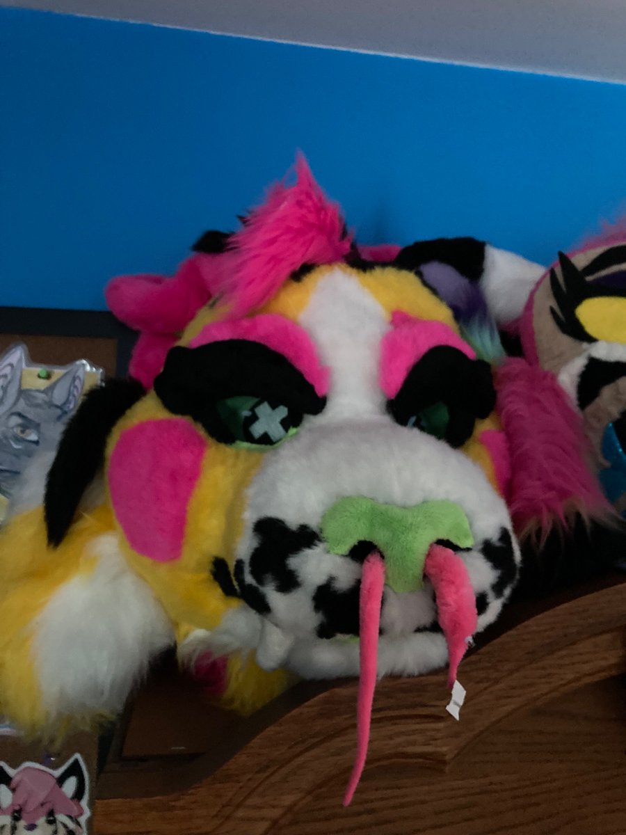 Larkspur1678's tweet photo. My sparklecat fursuit is still available for sale or trade!  I’m looking for USD offers, mixed offers, suit trades(realistic preferred but I’ll look at anything), and custom fursuit/plush offers.

#fursuitforsale #fursuitfortrade
#fursuit #fursuiter #fursuiting #furry https://t.co/D7LS5yUh8J