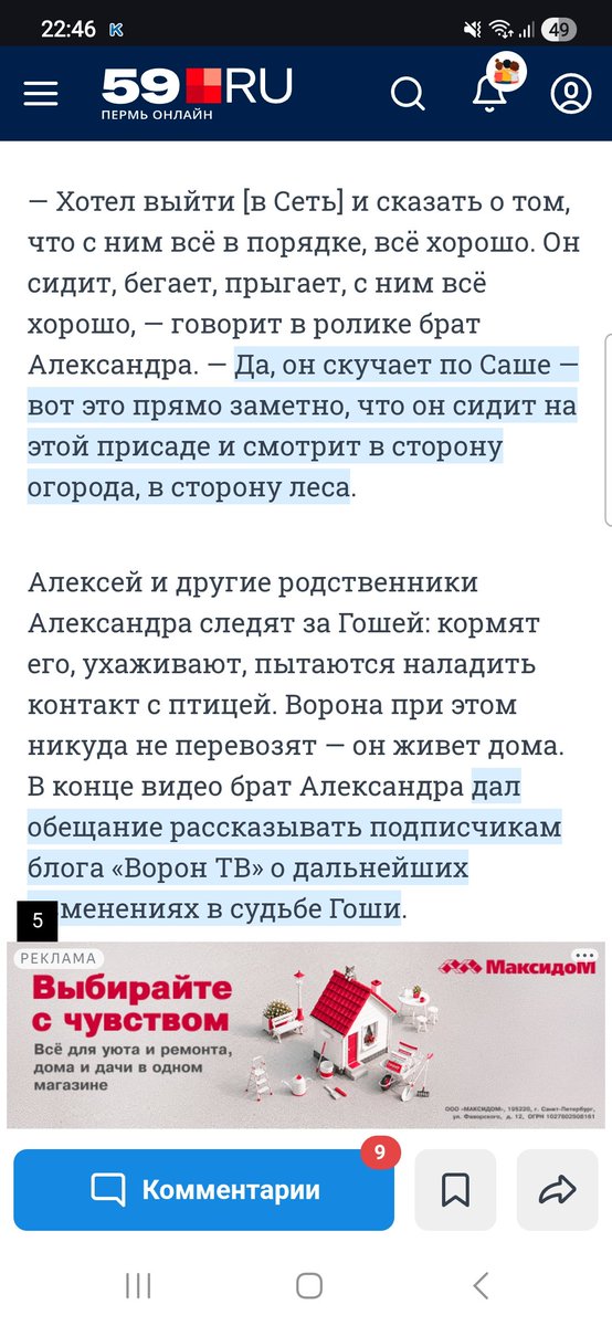 bipolarissss's tweet photo. Лежу рыдаю из-за того,что ворон Гоша сидит смотрит в сторону леса и ждёт своего хозяина,который никогда больше не придет https://t.co/tgu6oqez4e