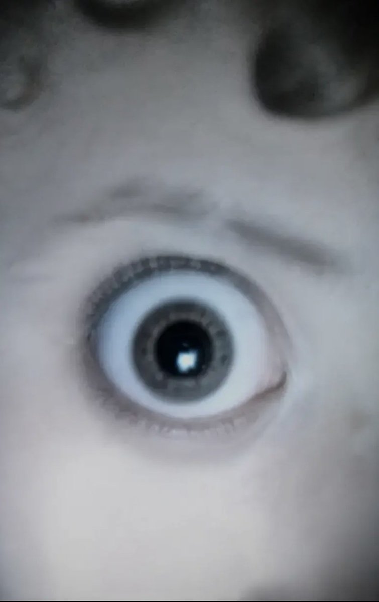 Keltiberoi868's tweet photo. Be honest guys do I have hunter or almond eyes? https://t.co/NxT4s9sKEH