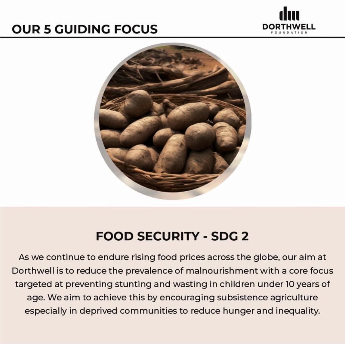 Dorthwell's tweet photo. Food security, Education, Period poverty and Climate/Energy sustainability, purposeful focuses that sees to solving urgent needs in our communities. For us, it’s not just about giving. It’s about dignity and meeting people where they are while creating opportunities that…(2/3) https://t.co/T9hgznhaT7
