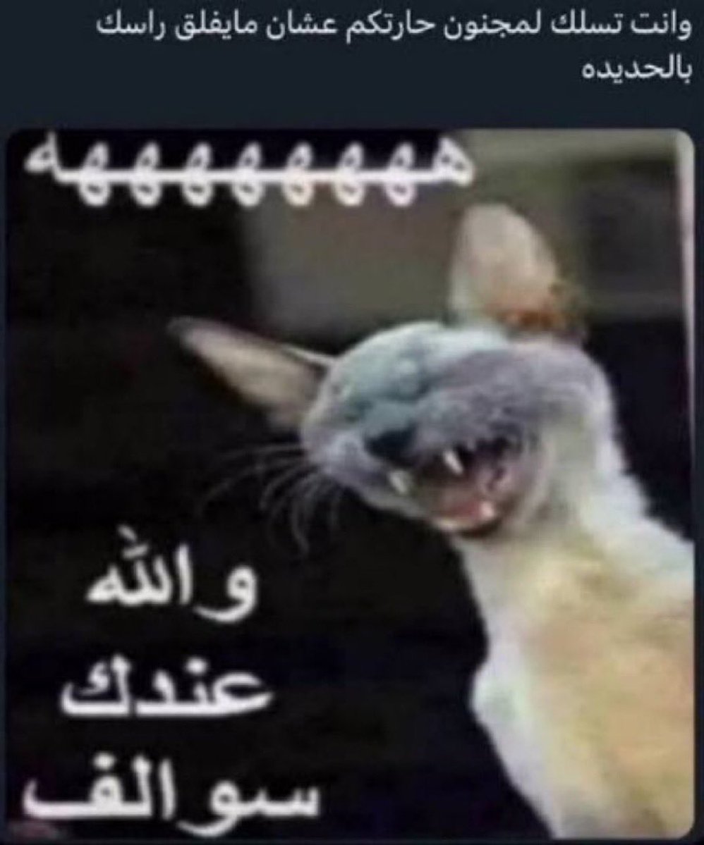 Raull_7F's tweet photo. مورينيو مع فينسيوس وهو طالع عشان مايفصل https://t.co/1XwrzRcvXD
