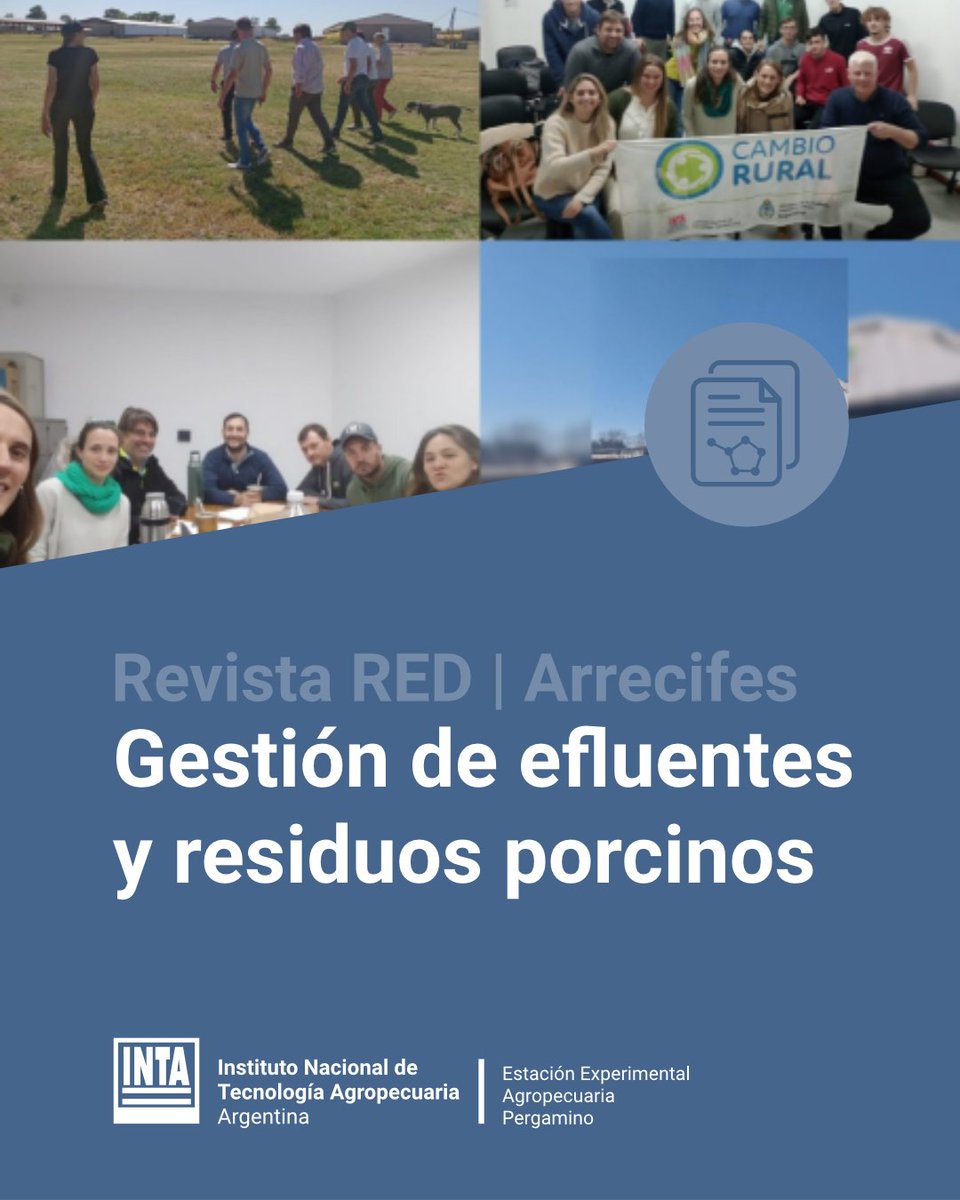 IntaPergamino's tweet photo. #RevistaRED
El abordaje de la gestión de efluentes y residuos porcinos mediante el trabajo con un grupo de productores en Arrecifes
📲 >> https://t.co/PEuSkg5Bch https://t.co/TdWVhezdE2