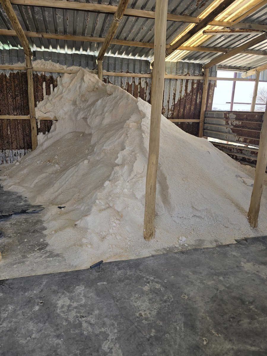 SiphoShowa's tweet photo. Visited the Zutshwa Salt Mine today and got an interesting brief from it's Manager Tlamelo. 50kg bag of salt goes for P60. Some of their customers are stores that sell animal feed. https://t.co/RLPAlGsdab
