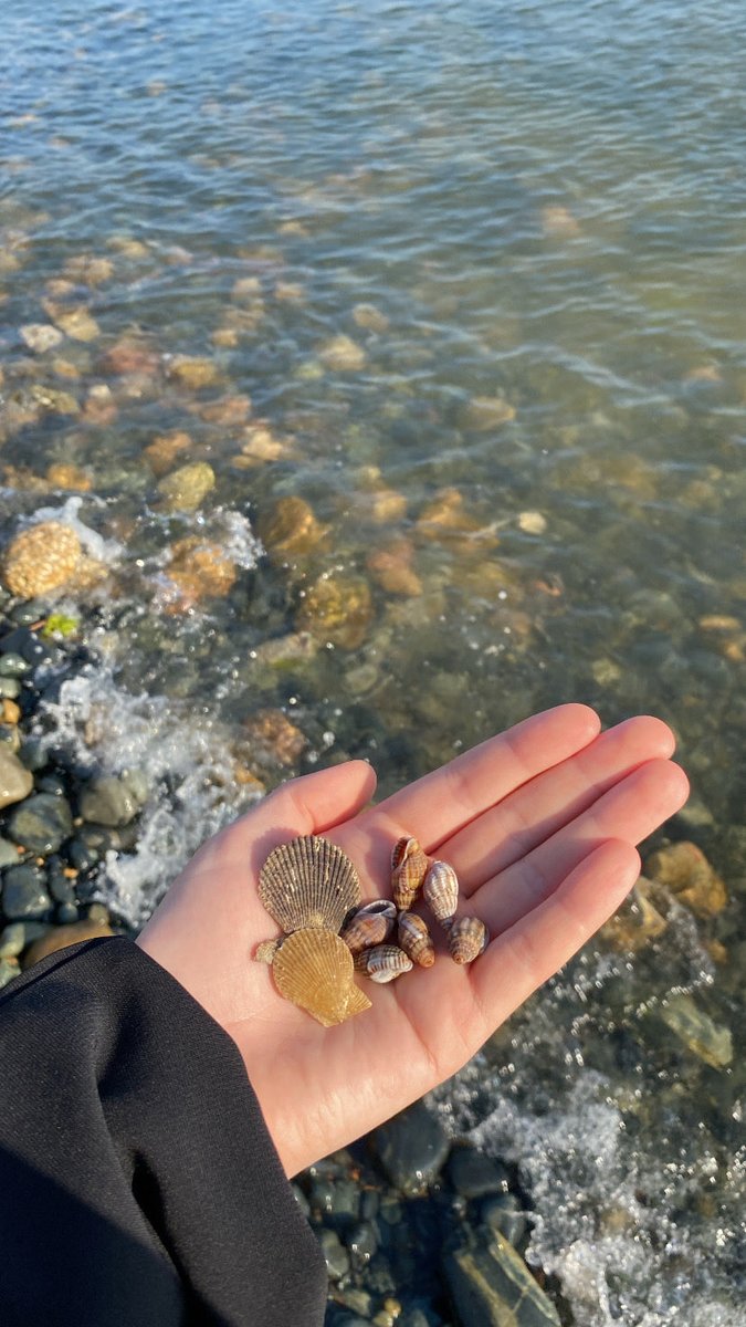 Havanursarhn's tweet photo. 🩵🌊🐚 https://t.co/Ug2zD7iWb6