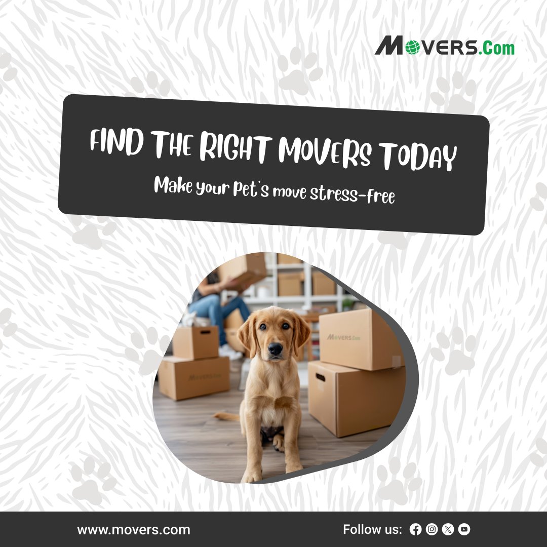 MoversCom's tweet photo. A move can be stressful for pets, but a little planning goes a long way.

📌 Save this guide for your next move with pets.

#NationalDogDay #MoversCom #MovingWithPets #DogParents #PetFriendlyMove #DogLovers #MovingTips #PetSafety #MovingDay #NewHome #RelocationTips https://t.co/P41H1O7g3z