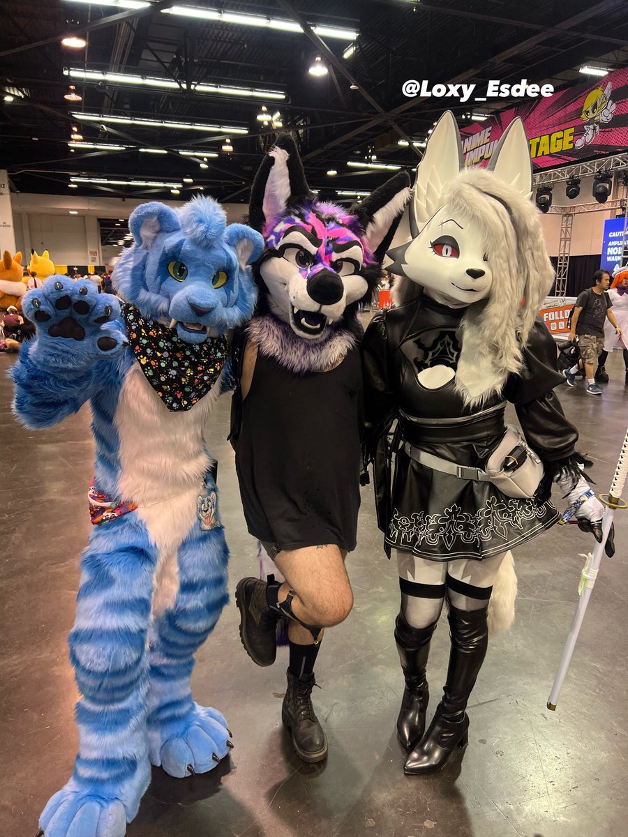 Loxy_Esdee's tweet photo. Had an amazing time at Anime Impulse Day 1! Loved to meet my favorite friends and spend the day being cute with them: @NotoriousKig @KigMelia69709 @va8tt and alolanacerby! 
It was great meeting you at AIOC @NabiHibiki ! 

#kigurumi #Cosplay #Furry #HelluvaBossLoona https://t.co/LlARHZd8ps