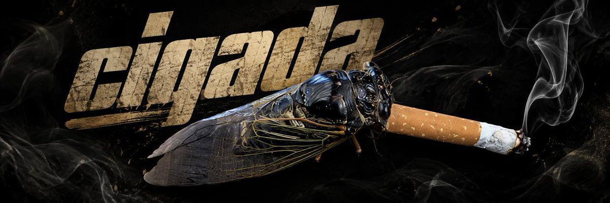 0xScrotum's tweet photo. A cicada smoking a cigarette.

It's simple. 

E3JZTGew86aYNjbDWrE6TNUkaMsDSKRAVKx61xyTpump

$CIGADA https://t.co/QK01uHRFeV