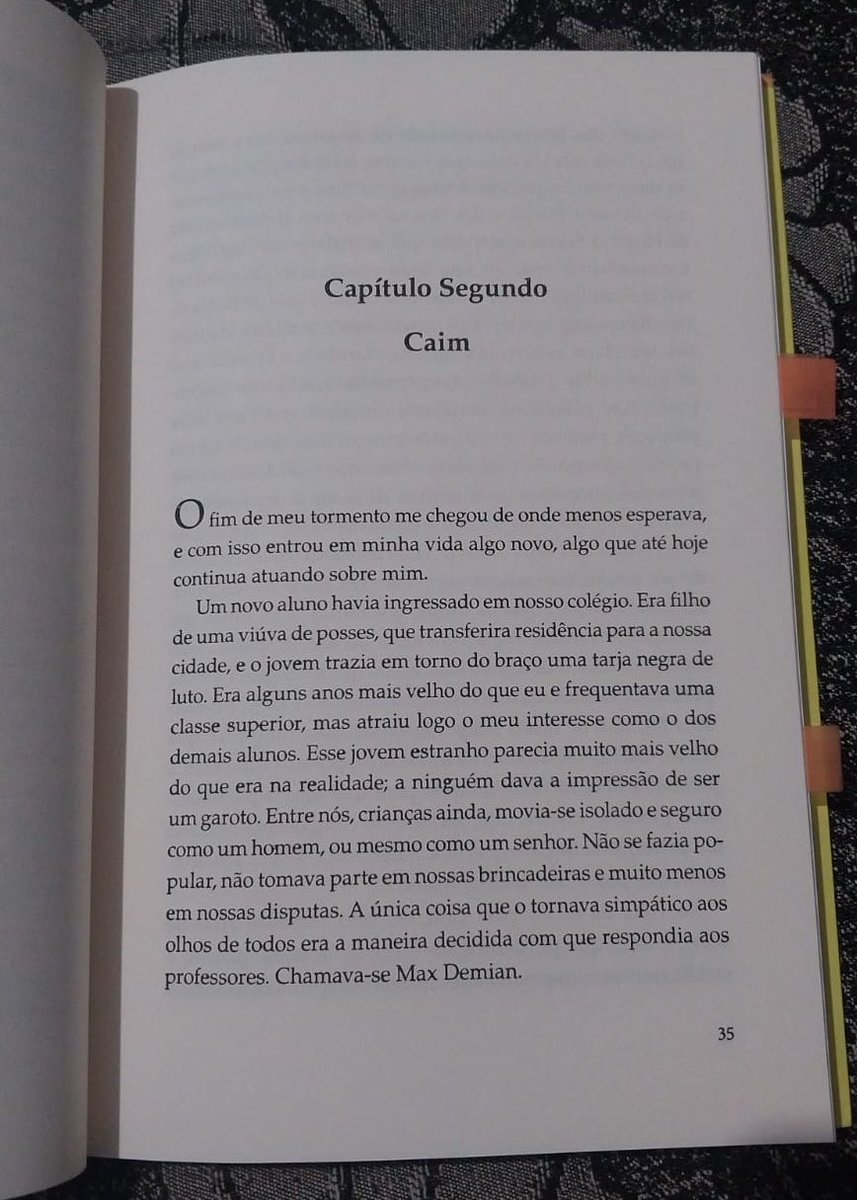 punitividade tweet picture