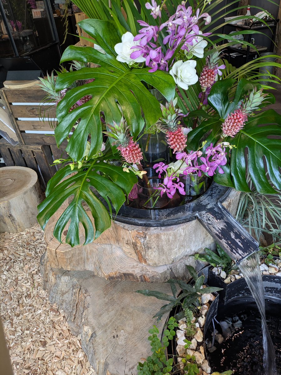 katsuragierika's tweet photo. 買い物ついでに近所のカフェへ

先日、久しぶりにお花いっぱいのカフェに行きました。赤いランの名前はカリプソ、とお店の方に教えていただきました。

お花いっぱいですと、空気も綺麗で、涼やかな気持ちになります😊

今日は、糖尿病外来の日なので、暑さ対策して出かけます。

今日もよい１日を💞 https://t.co/MgPQj9tWtT
