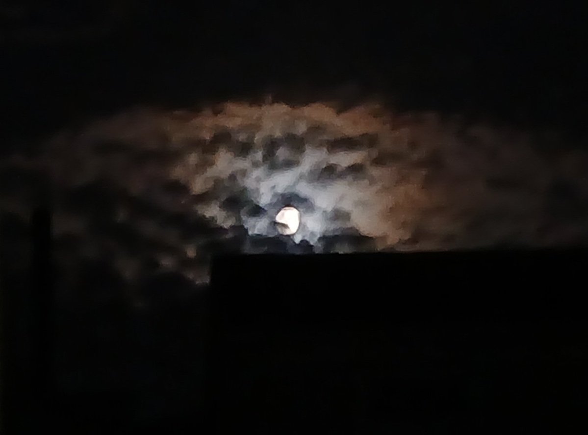 CurtIThink's tweet photo. Low quality eye of luna

Curse you shed
Curse you phone for not having good editor https://t.co/65Y4QNVWoT