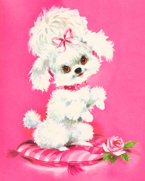 oa7x6's tweet photo. 夕日越しに見る伊豆の眺めは澄み渡った景色だ。 https://t.co/MG5Nf1mXMv