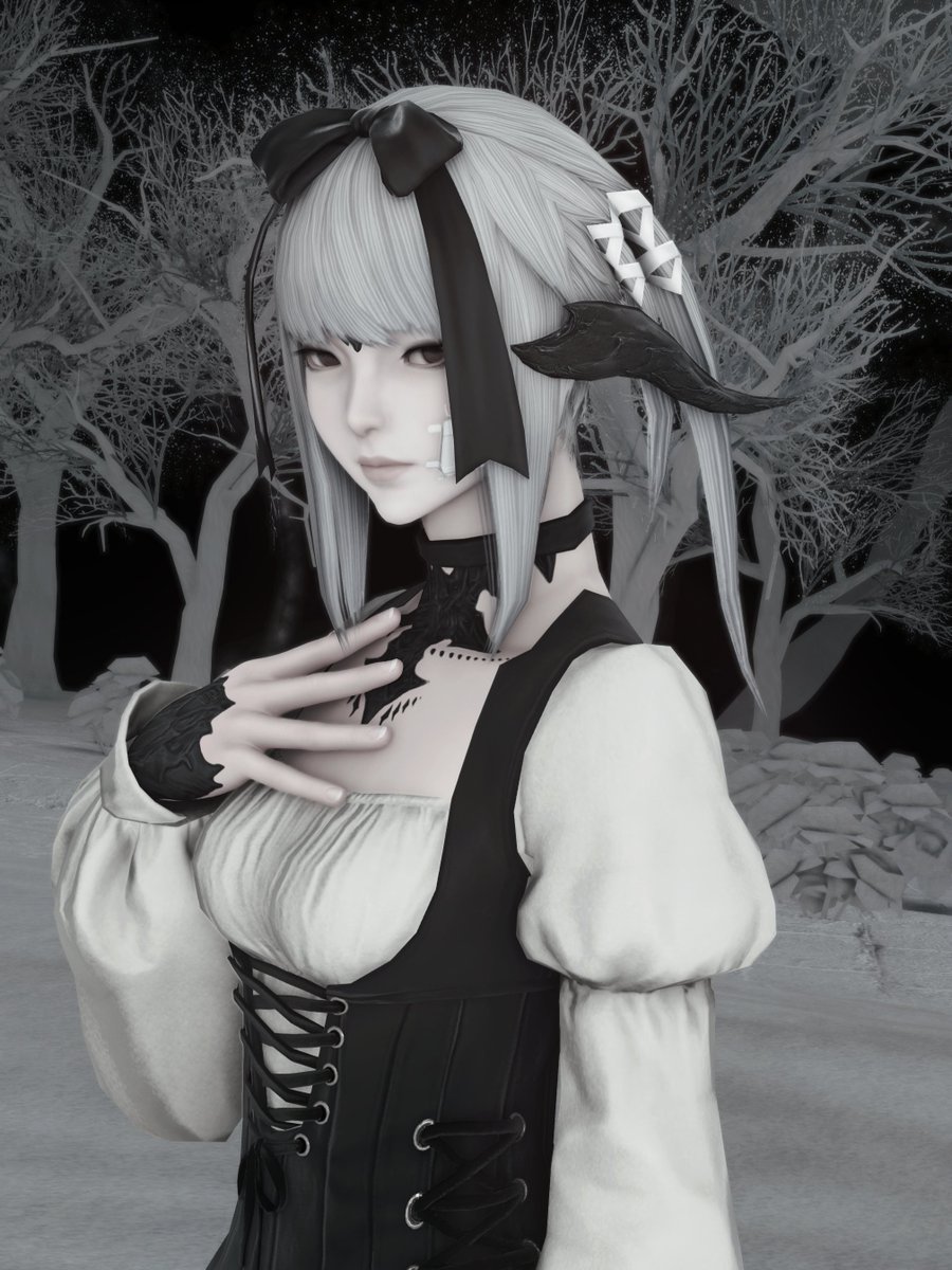 JiaXIV tweet picture