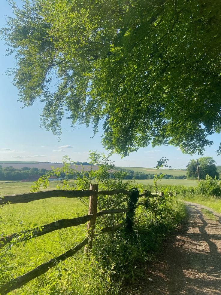 purelivn's tweet photo. life feels softer in the countryside https://t.co/G3xsxz0YPk