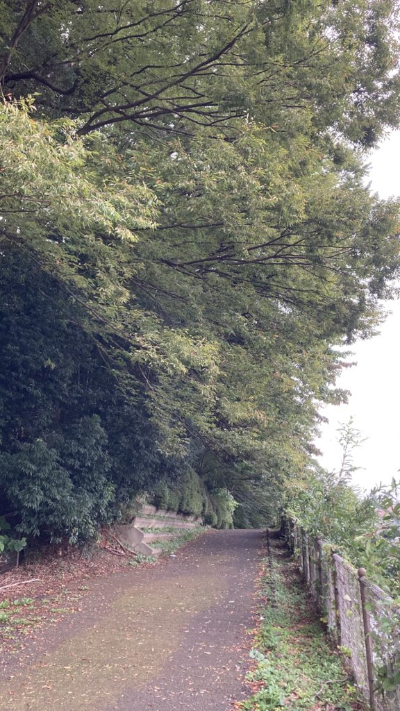 pfllllfq's tweet photo. #鶴見川
#cycling
cf24×332+23 https://t.co/GiDYuevlTT