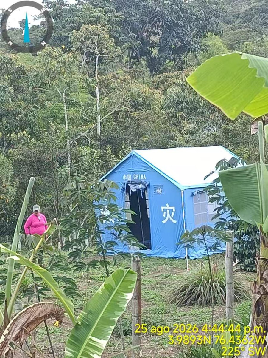 zhu_jingyang's tweet photo. Motivo de mucha satisfacción compartir estas fotos de carpas chinas en uso, gracias por la colaboración y el trabajo de @GobValle 🇨🇳🤝🫂🇨🇴 https://t.co/CRDsLxUqT7