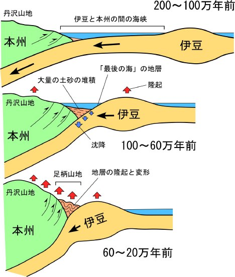 JAEEGAKKAI's tweet photo. 140字解説・地震工学676　伊豆衝突帯
2000万年前に500km南方の太平洋上で火成岩の塊として生まれ、60万年前に日本列島に衝突した島、現在の伊豆半島。海底や、かつて衝突した丹沢山地をさらに押し上げました。インド大陸衝突とヒマラヤにも類似します。
https://t.co/qUiK4cFSUd https://t.co/NpJ196Arga