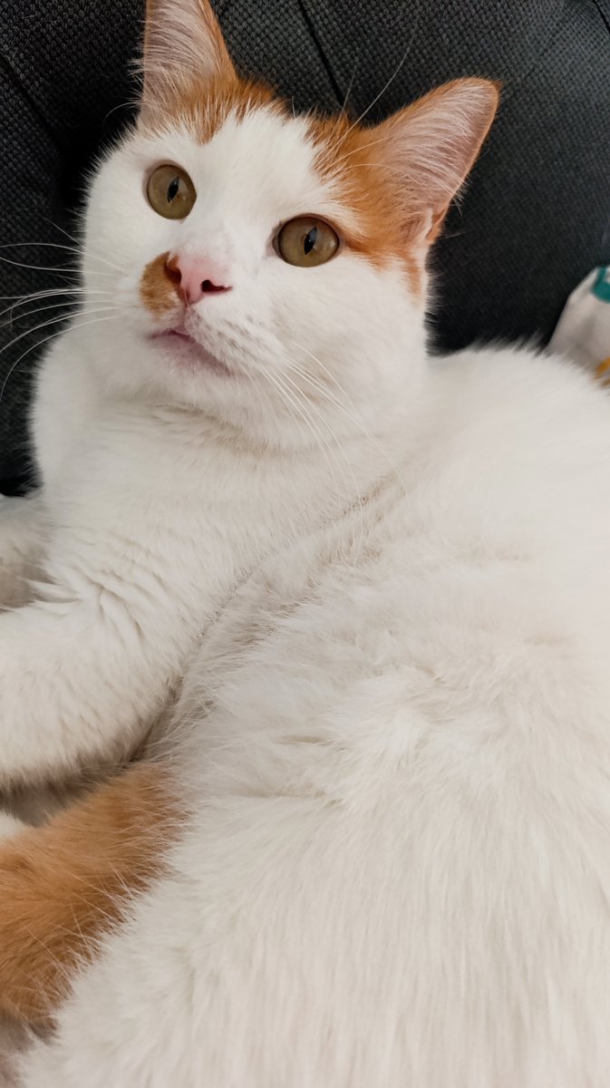 iambordooje's tweet photo. - Nasıl başladı 
- Nasıl devam ediyor 
Aliş 🫠🥰 https://t.co/ecIRf2tElH