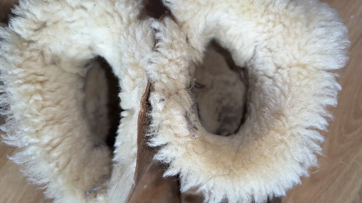 urfavvballqueen's tweet photo. My Uggs that I exclusively wear without socks 🫣 https://t.co/nXvulUk3Ju