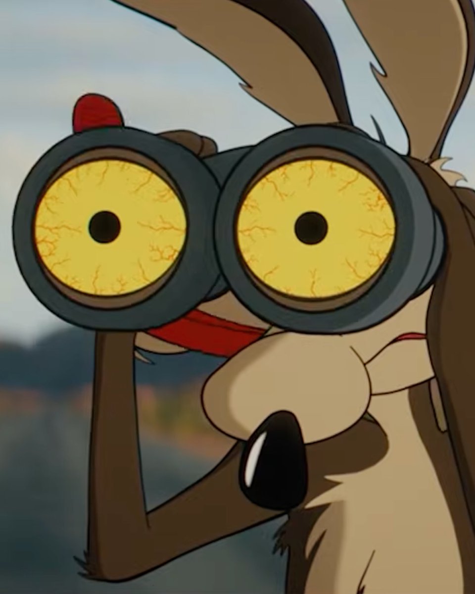 ketchupent's tweet photo. THIS FRIDAY! See for yourself why Coyote vs. ACME has the highest RT score of any animated film this year. https://t.co/ywIEAaoUDy