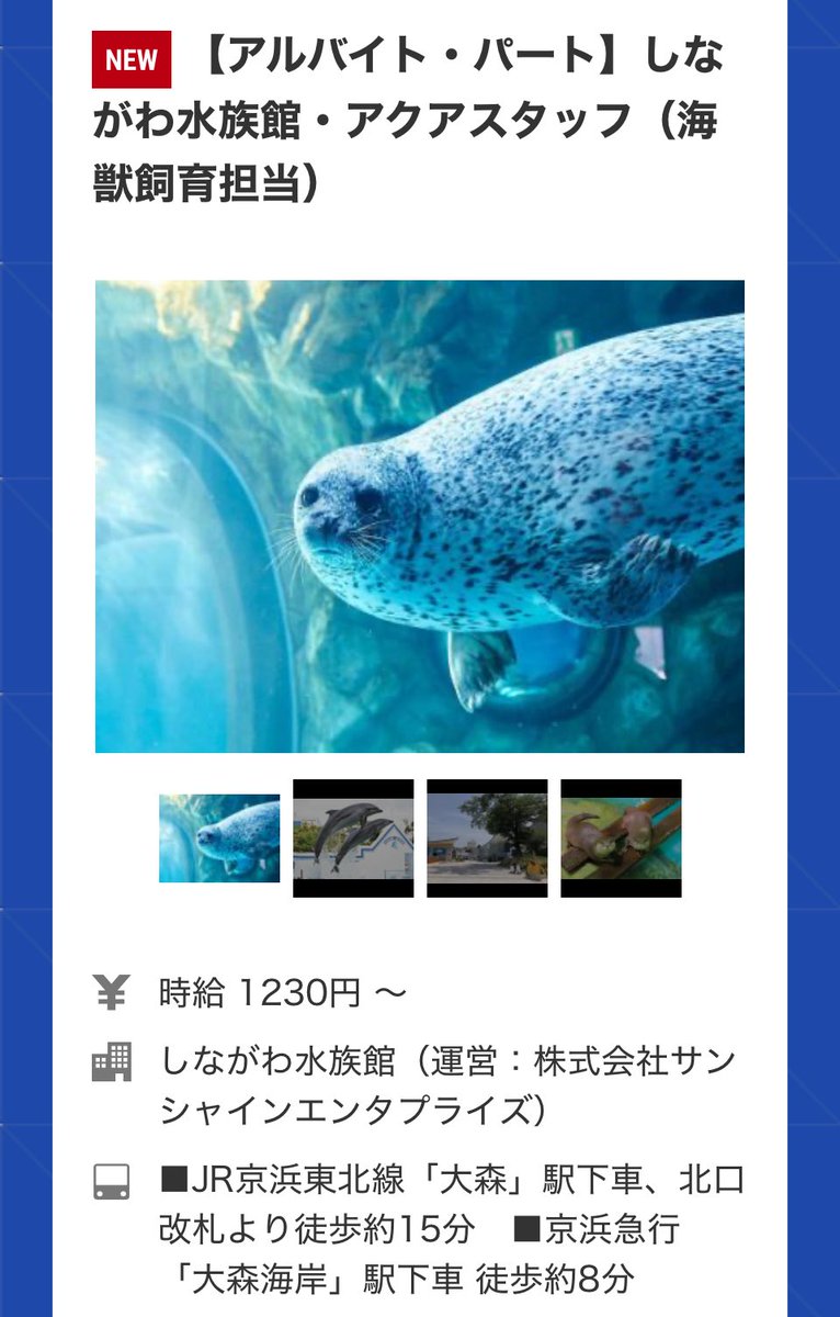 aq_hatarakitai's tweet photo. 【求人・Recruit】
しながわ水族館
【アルバイト・パート】アクアスタッフ（海獣飼育担当）
時給 1230円 〜
https://t.co/eJ2W0LFqXT https://t.co/M2jIpKLNWS