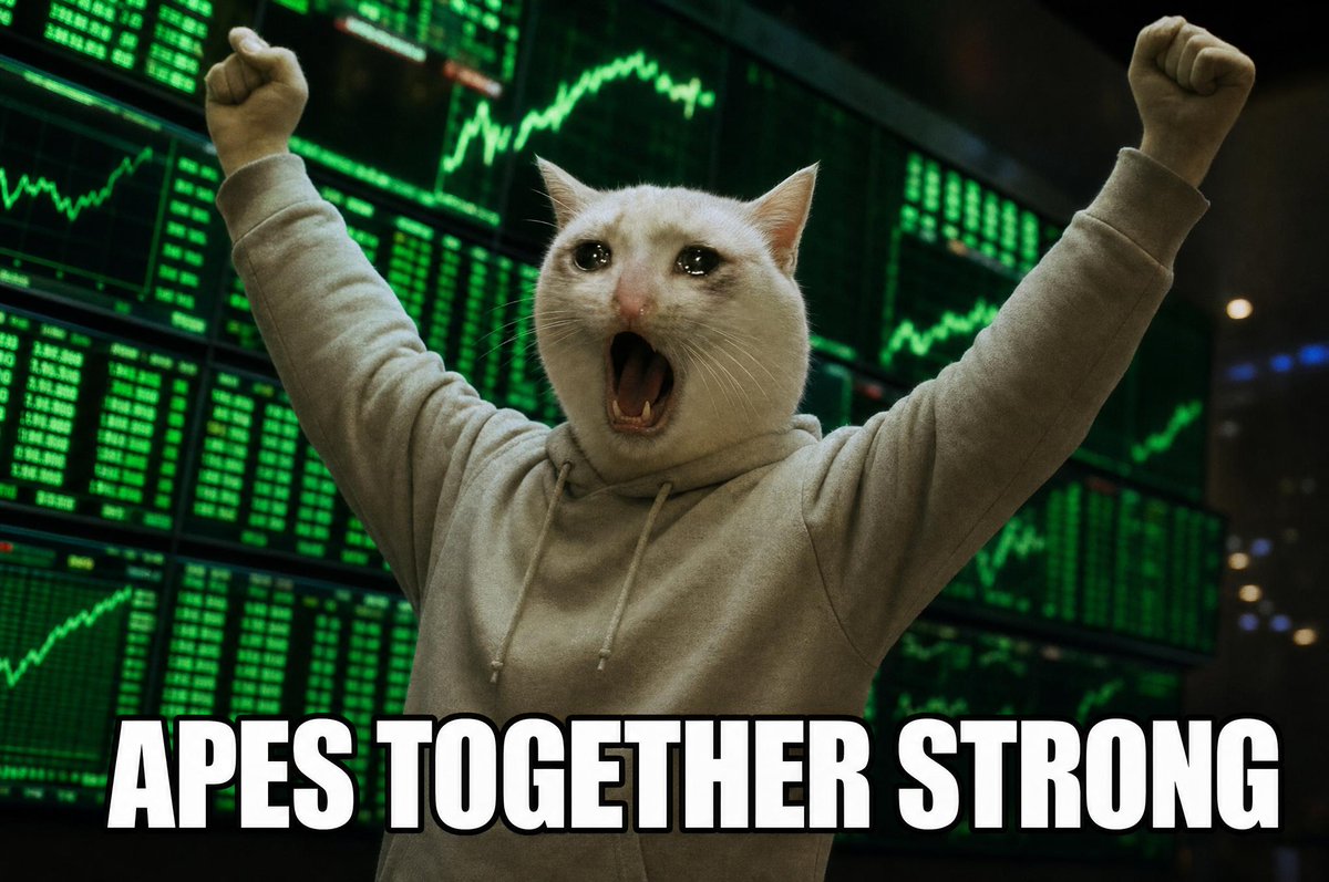 basedfloyd888's tweet photo. CASHCAT going to a billy and above will raise the ceiling for all your memes.

It's time to unite and send a message.

Punish all sellers. Bring back holding culture. https://t.co/CO8ovahAvs